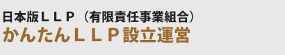 LLP 会社設立